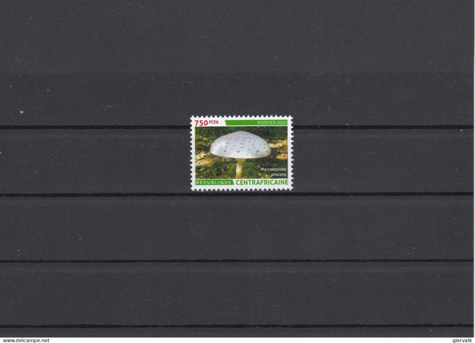 CENTRAL AFRICA 2023 MUSHROOM MNH. - Mushrooms