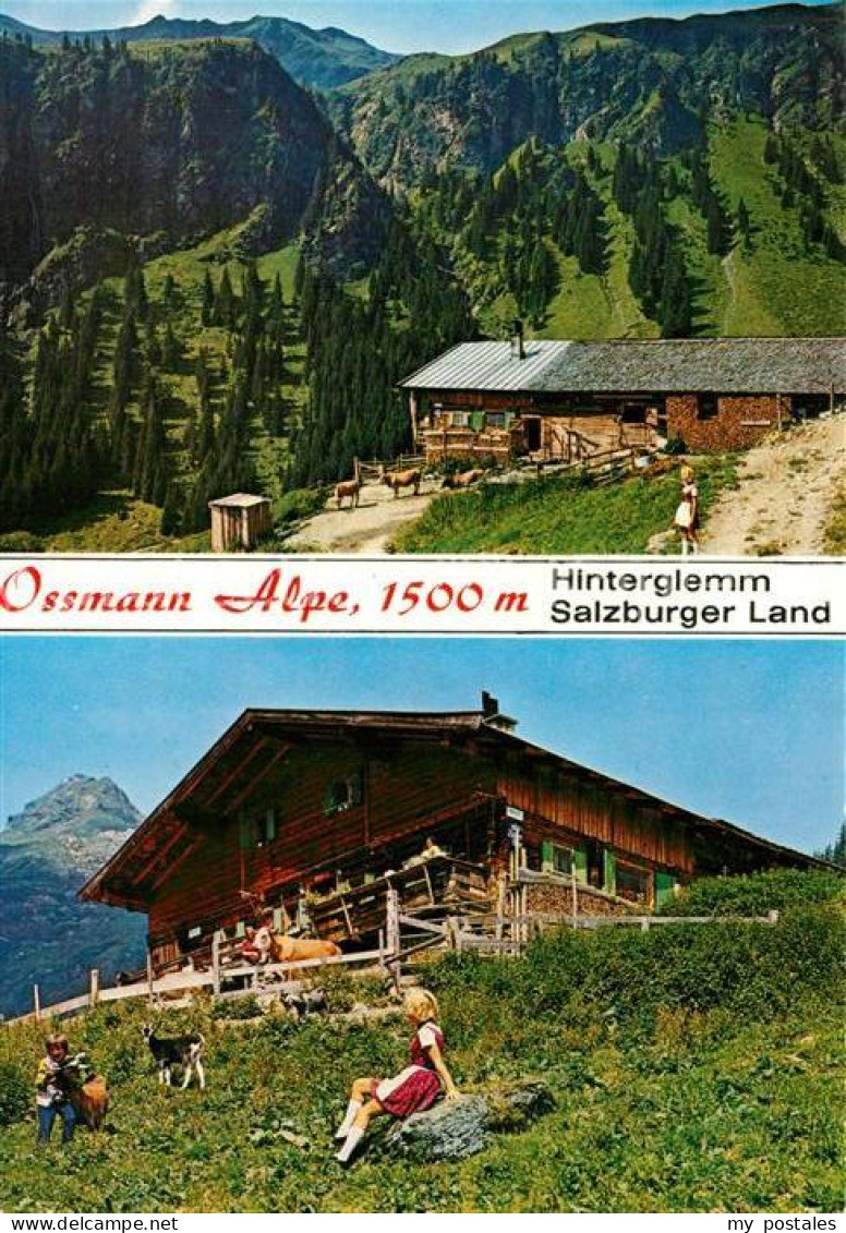 73326005 Hinterglemm Saalbach Ossmann Alpe Ausflugsziel Alpen Hinterglemm Saalba - Other & Unclassified