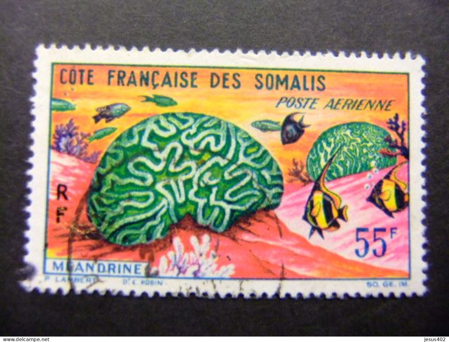 56 COTE DES SOMALIS COSTA DE SOMALIA 1963 / FAUNA MARINA " MÉANDRINE " / YVERT PA 35 FU - Usati