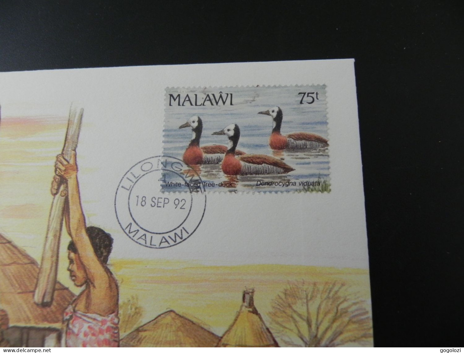 Malawi 1 Tambala 1991 - Numis Letter 1992 - Malawi