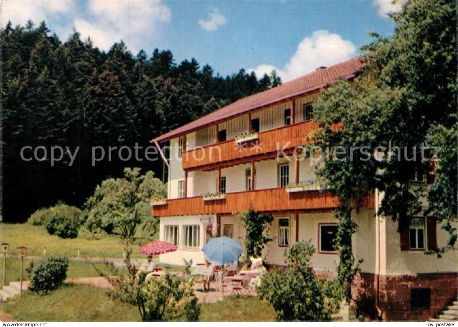 73324894 Lauterbad Berghof Restaurant Pension Lauterbad - Freudenstadt