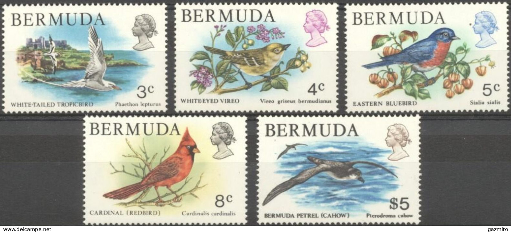 Bermuda 1978, Birds, 5val - Albatros & Stormvogels