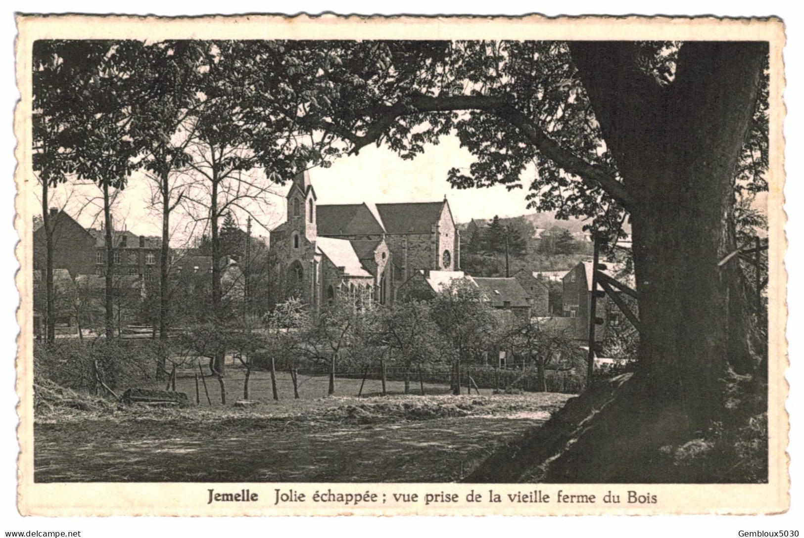 (466) Jemelle   Jolie échappée Vue Prise De La Vieille Ferme Du Bois - Rochefort