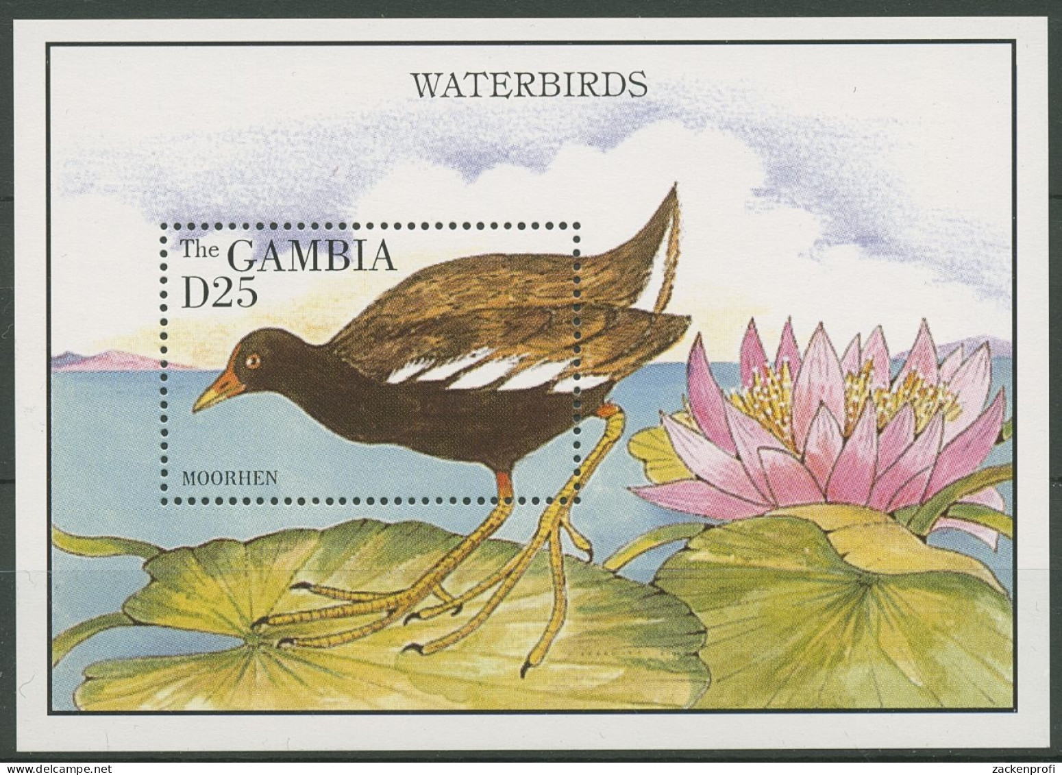Gambia 1995 Wasservögel Teichhuhn Block 250 Postfrisch (C29872) - Gambie (1965-...)