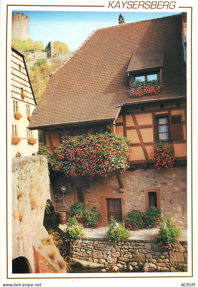 68 Kaysersberg Maison Alsacienne Fleurie  N°32 \MM5003 - Kaysersberg