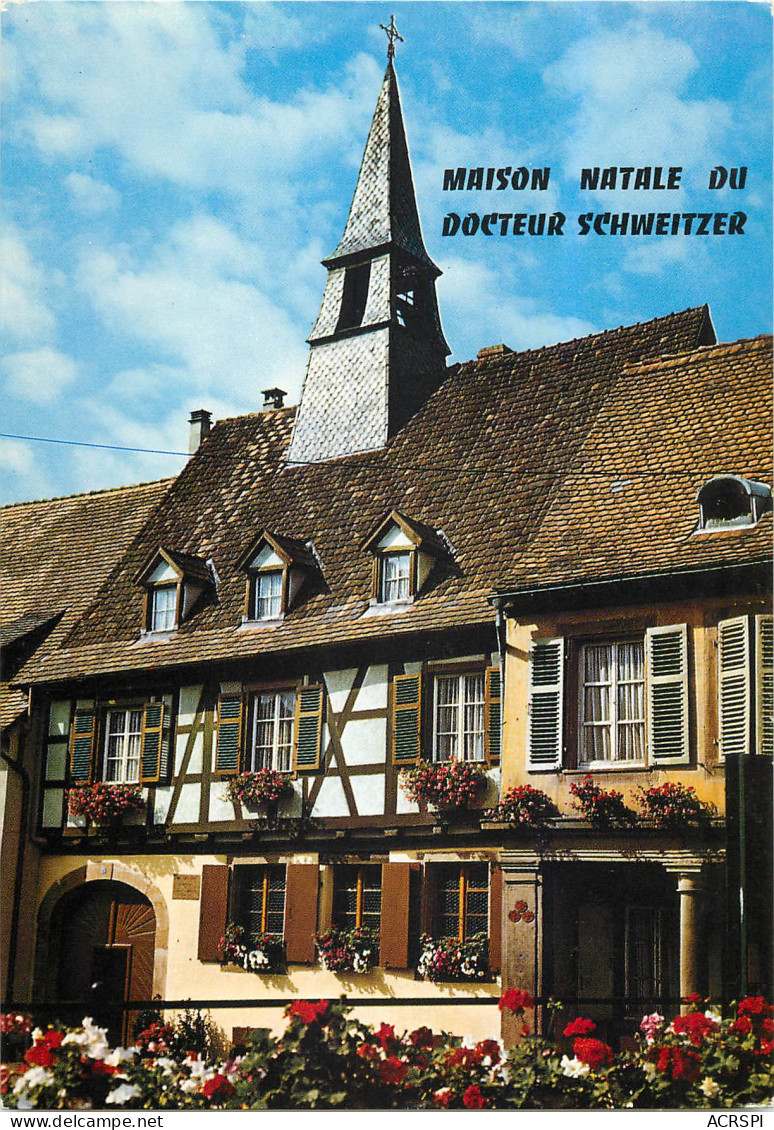 68 Kaysersberg Maison Natale Du Docteur Schweitzer N°35 \MM5003 - Kaysersberg