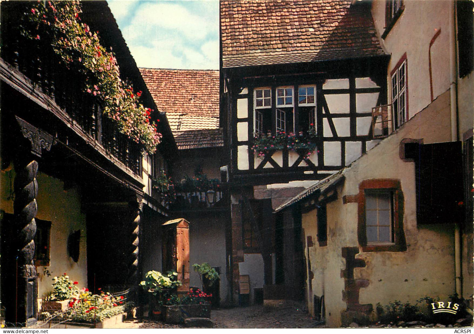 68 Riquewihr Cour Des Cigognes N° 6 \MM5005 - Riquewihr