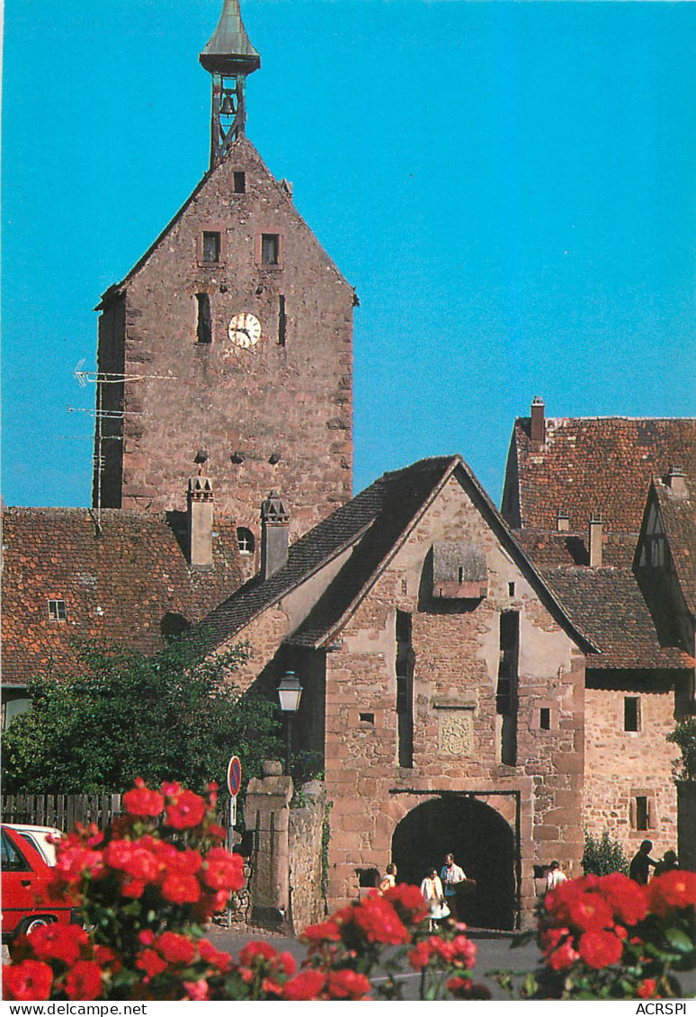 68 Riquewihr  Le Dolder   N° 9 \MM5006 - Riquewihr