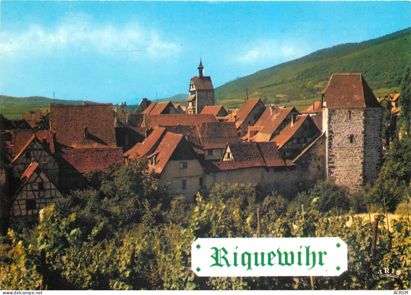 68 Riquewihr Vu Des Vignobles Le Quartier Ouest Que Domine Le Dolder A Droite La Tour Des Voleurs N° 51 \MM5006 - Riquewihr