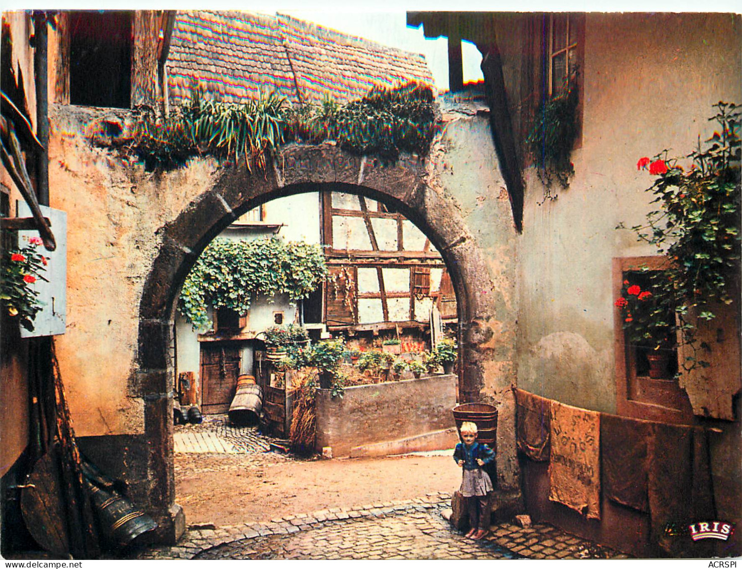 68 Riquewihr  Cour Des Juifs  N° 21 \MM5006 - Riquewihr