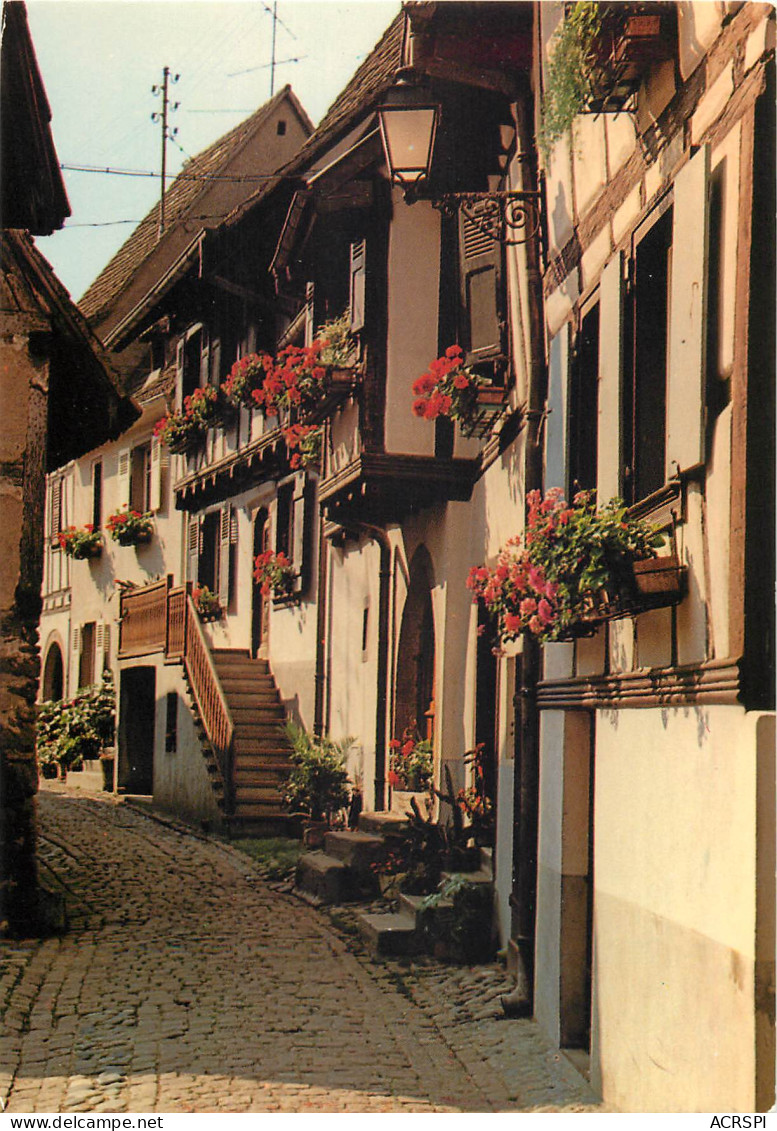 68 Eguisheim Ruelle Aux Maisons Pittoresques Du XVI E Siecle  N° 23 \MM5007 - Wittenheim