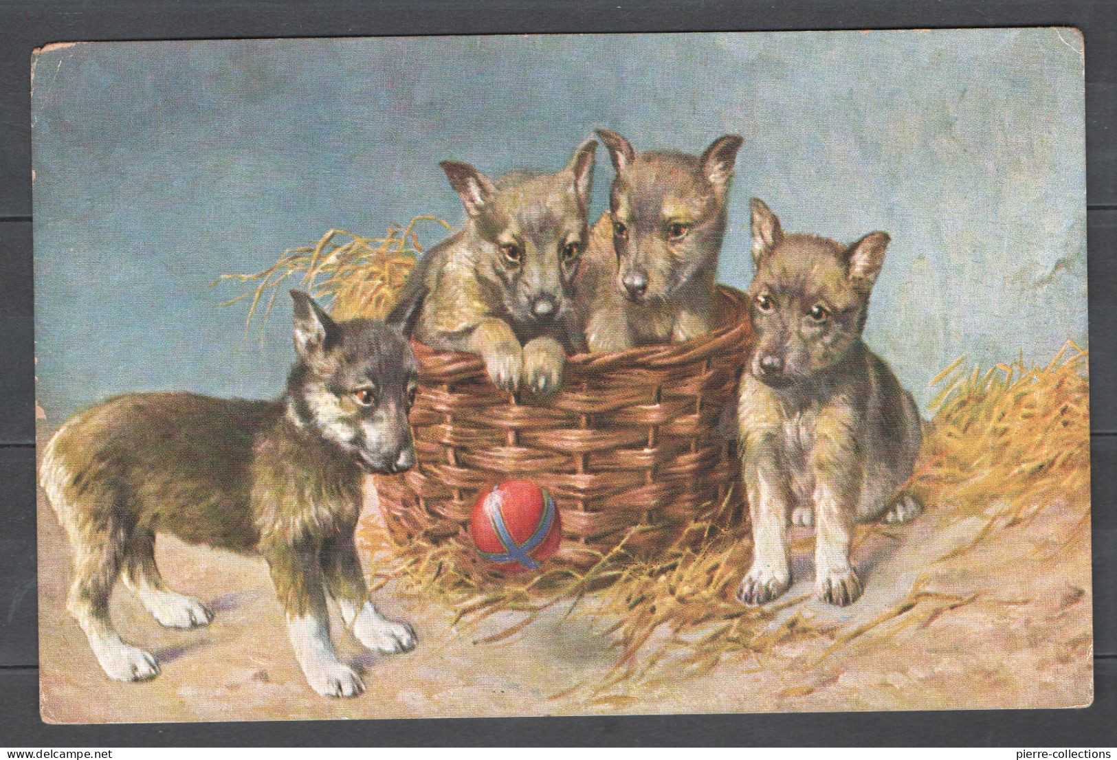Chiens - Panier De 4 Chiots - Carte Postale Fantaisie - Cani