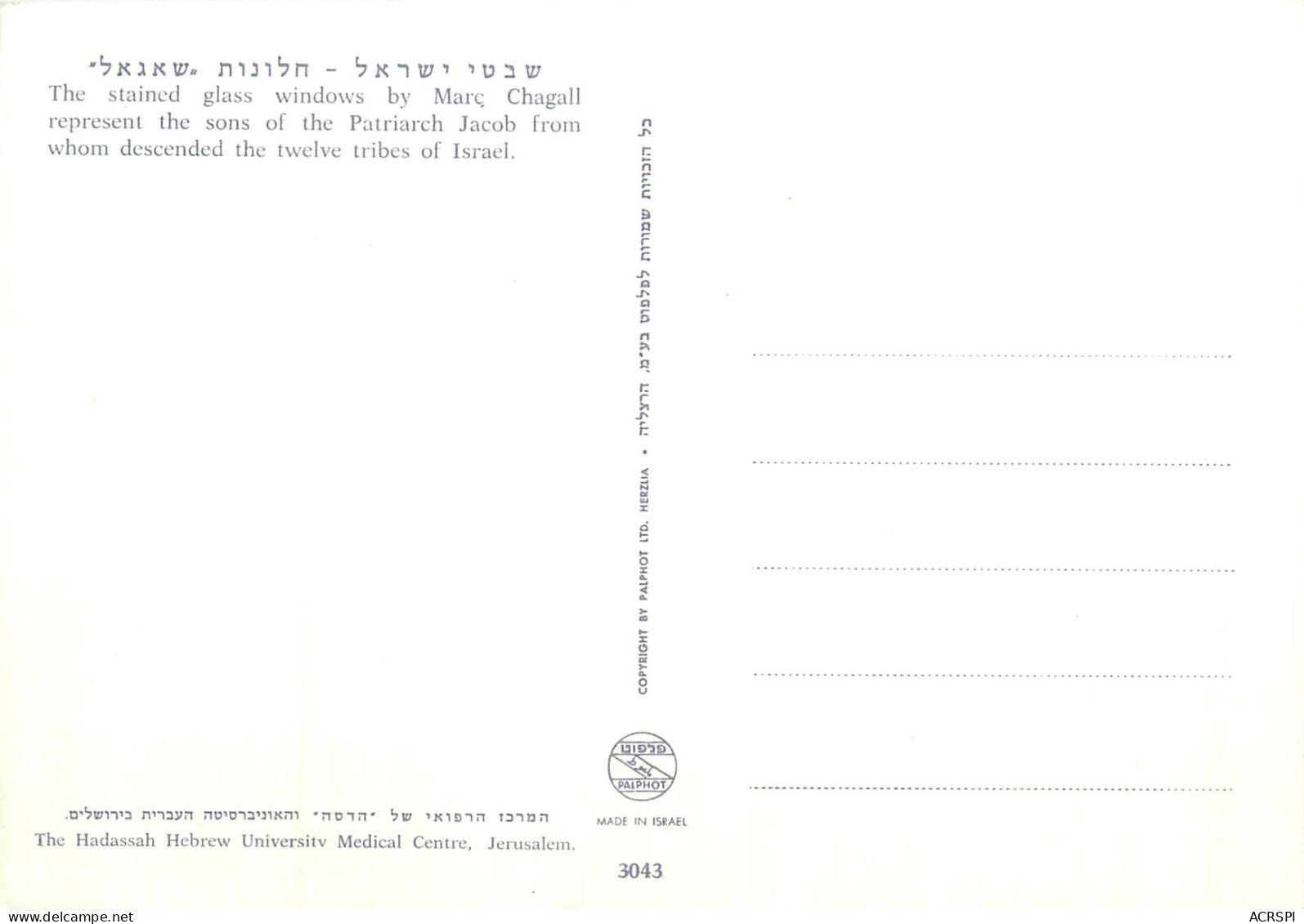 Judaisme Israel      N° 15\MM5045 - Judaika