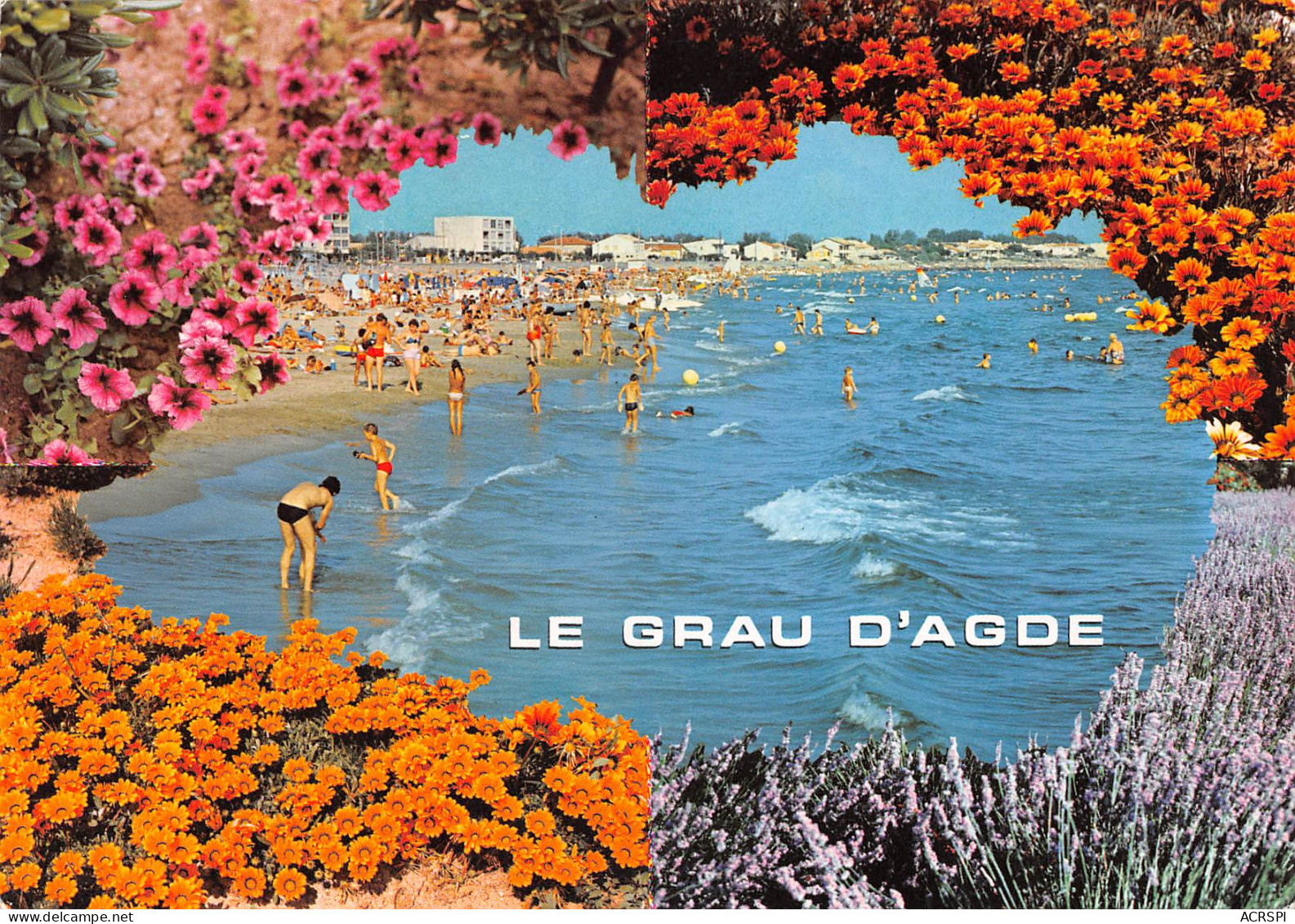 34 LE GRAU-D'AGDE   La Plage   (Scan R/V) N° 36 \MM5049Vic - Sonstige & Ohne Zuordnung