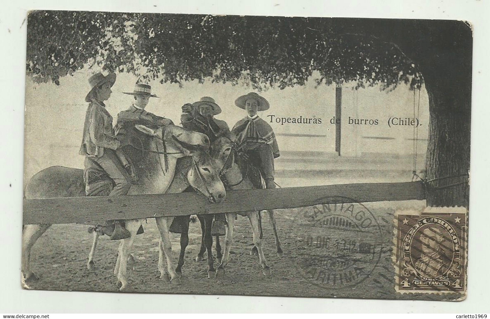 TOPEADURAS DE BURROS - CHILE 1913  VIAGGIATA  FP - Chile