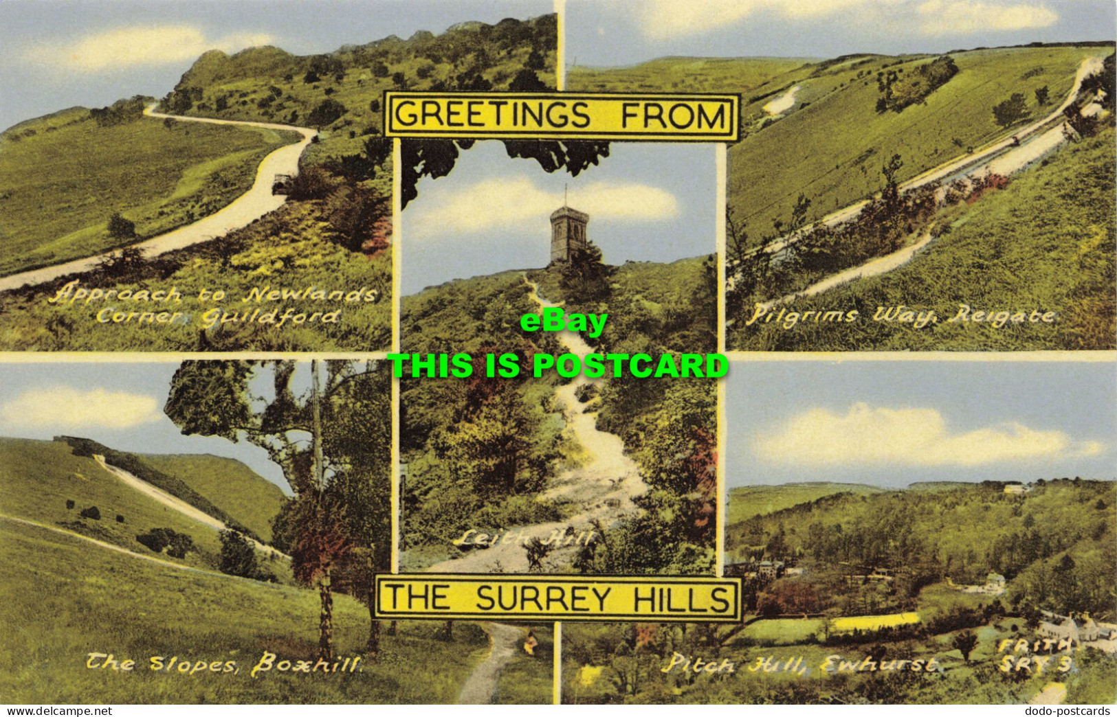 R621953 Greetings From Surrey Hills. Friths Series. Multi View - Welt