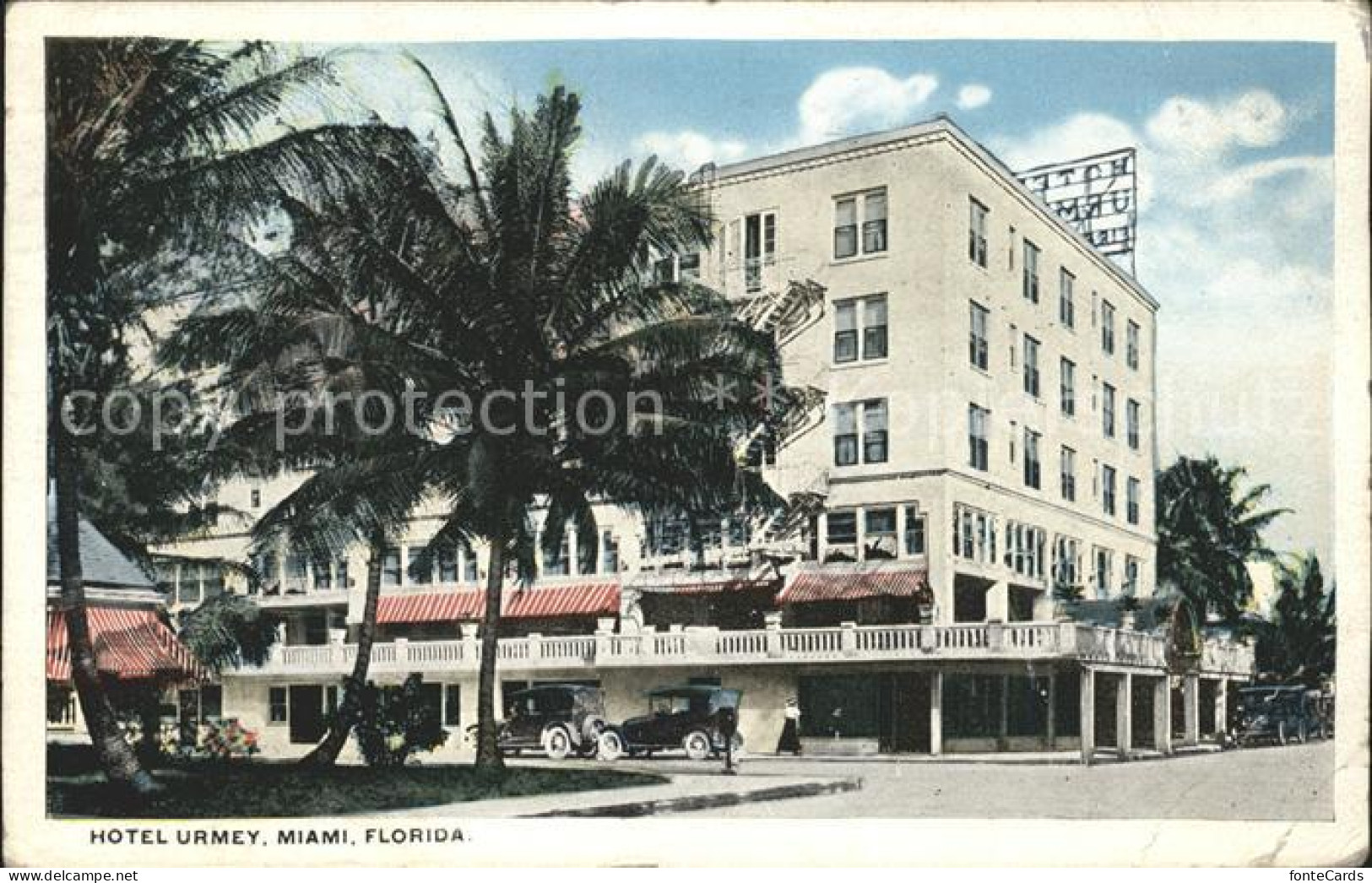 11694432 Miami_Florida Hotel Urmey Palm Tree - Autres & Non Classés