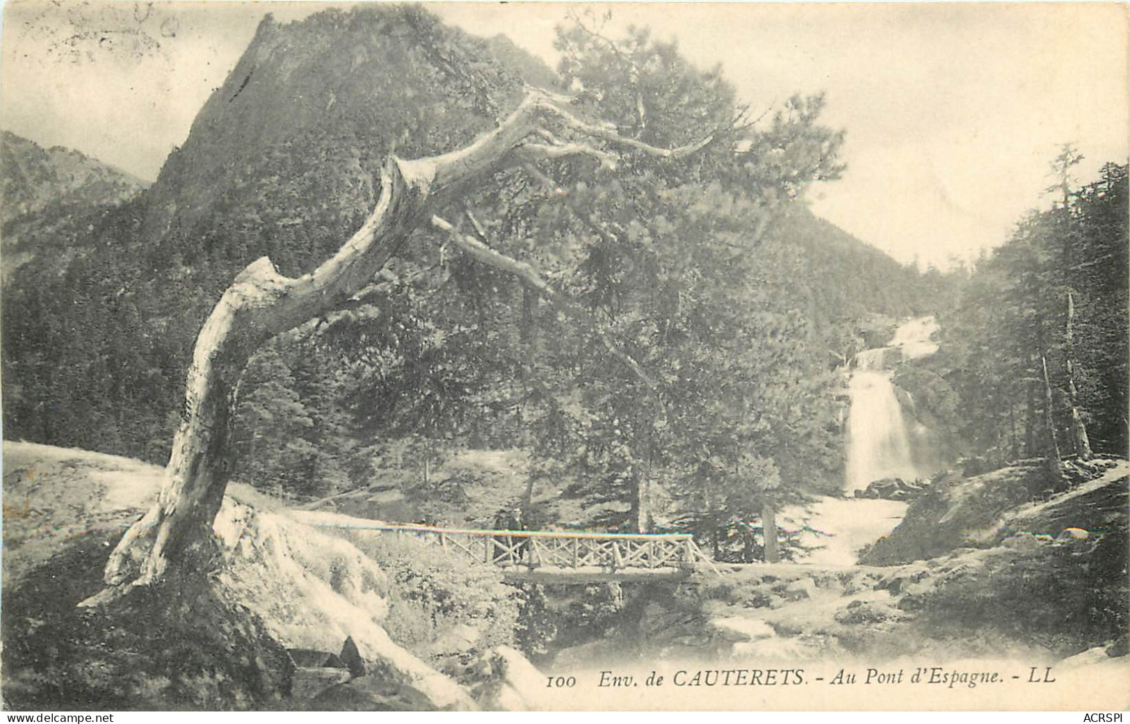 65 Environs De Cauterets Au Pont D'espagne         N° 74 \MM5077 - Cauterets