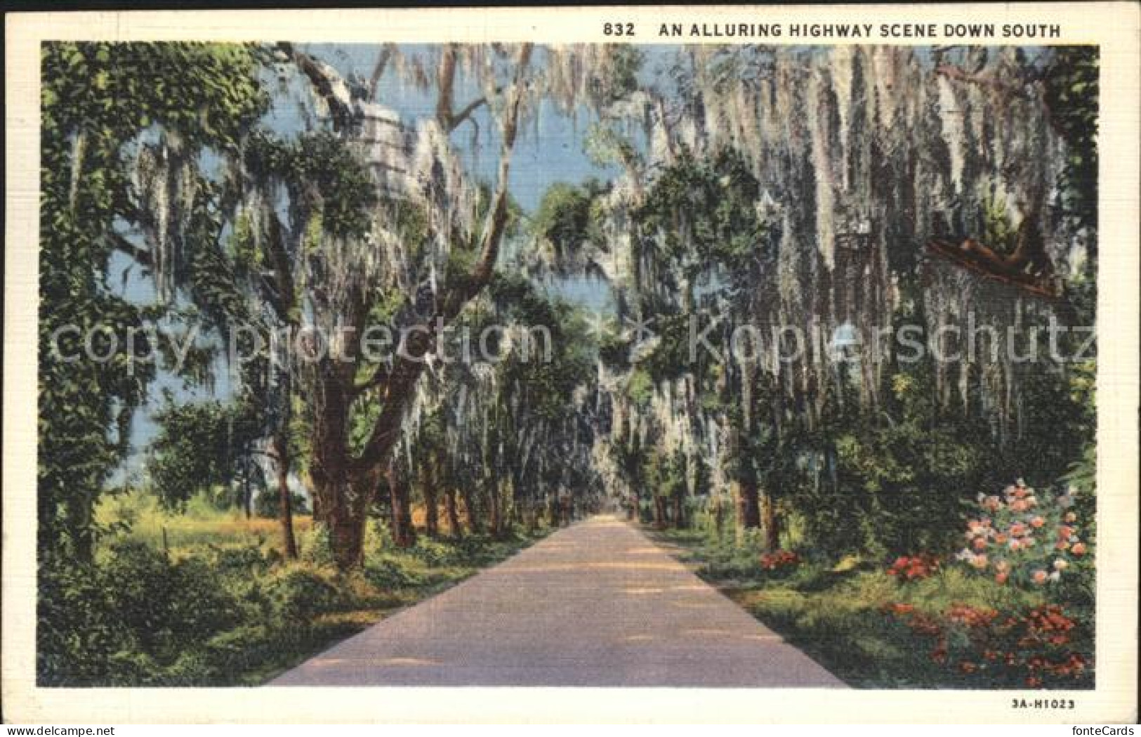 11694273 Summerville_South_Carolina Alluring Highway Scene Down South - Other & Unclassified