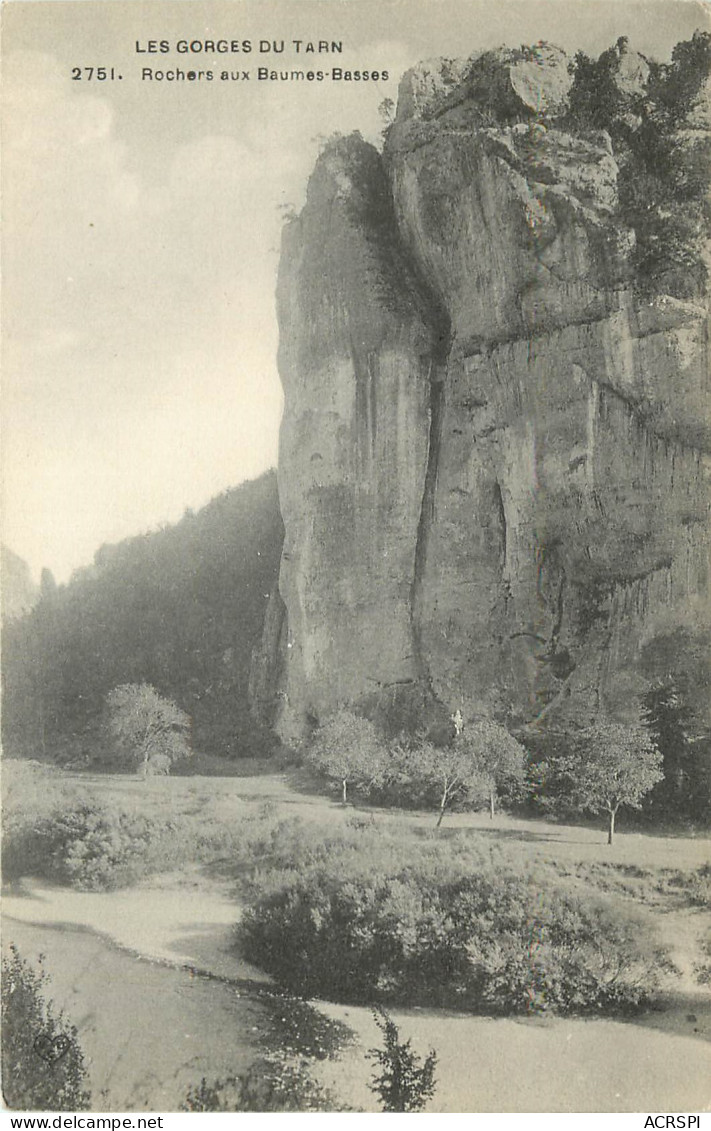 48 Gorges Du Tarn  Rochers Aux Baumes Basses   N° 54 \MN6004 - Gorges Du Tarn