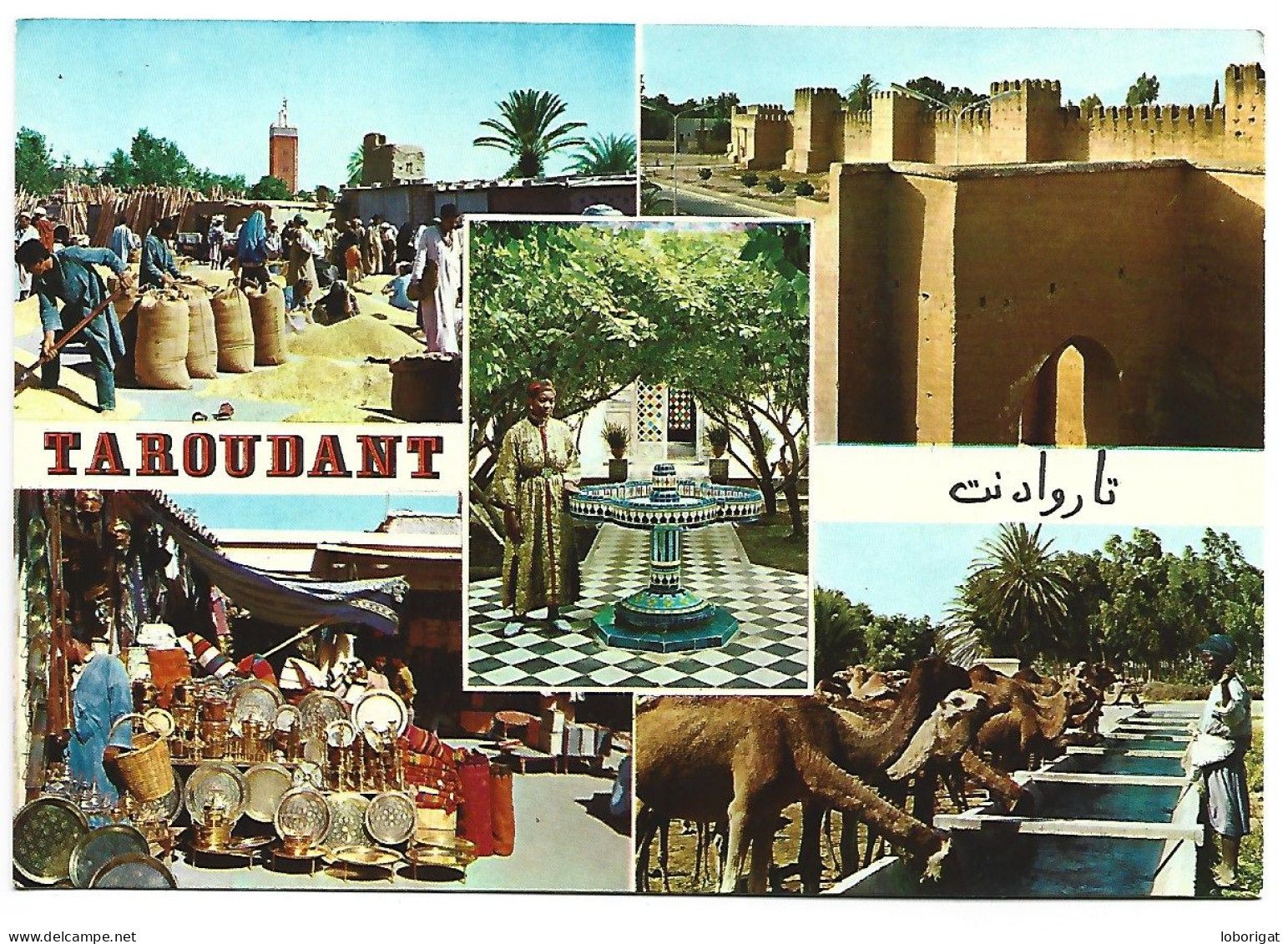 SOUK AUX GRAINS / LES REMPARTS / AU SOUK / CHAMEAUX AL'ABREVOIR / HOTEL SALAM-JARDIN.- TAROUDANT ( MARRUECOS ) - Altri & Non Classificati