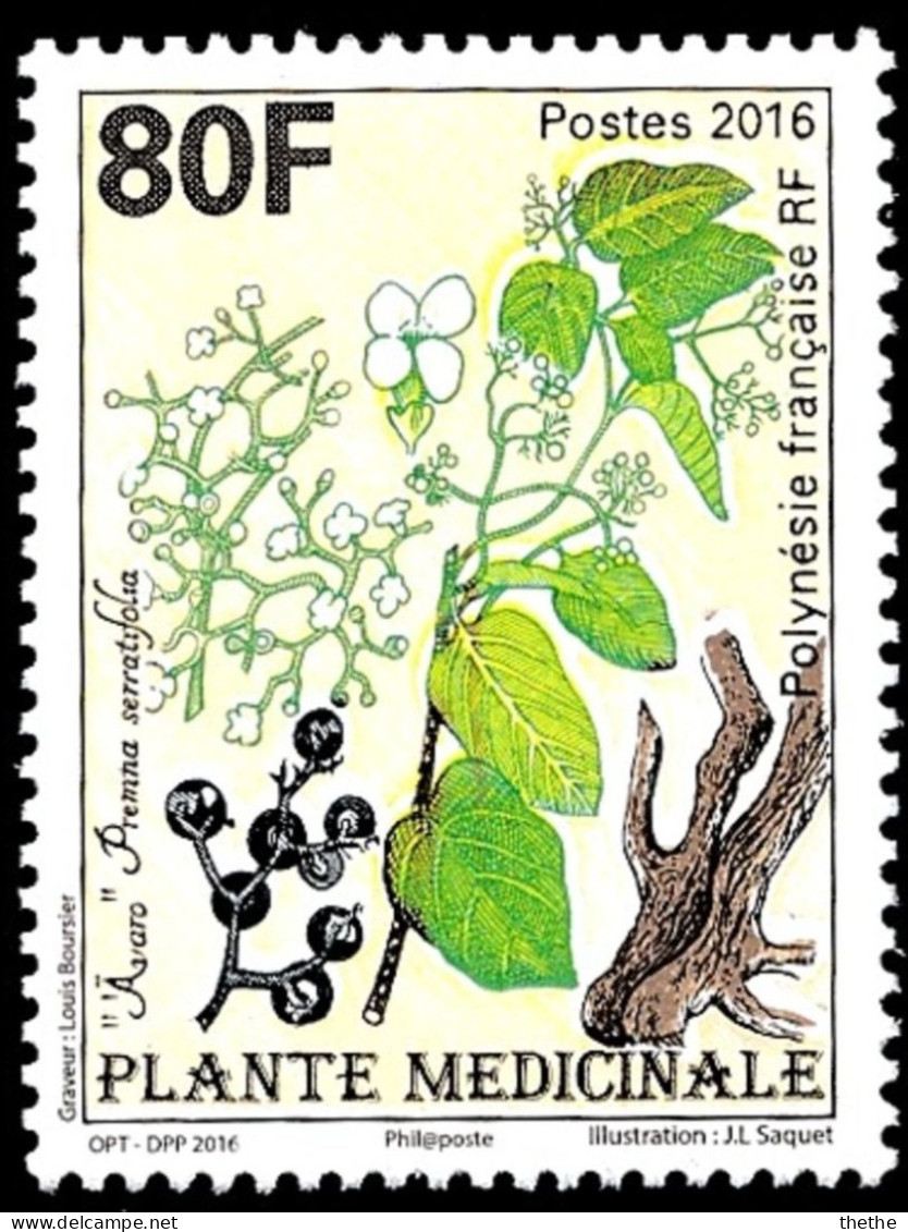 POLYNESIE - Plante Médicinale : "Avaro" - Unused Stamps
