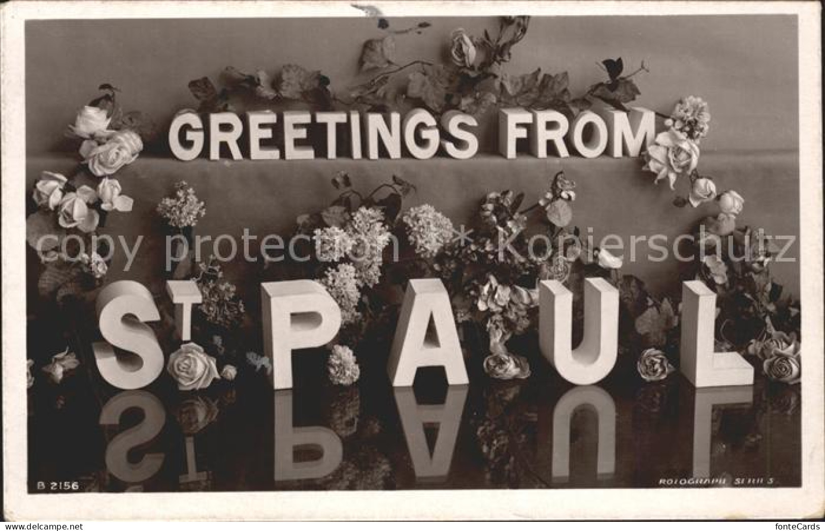 11694021 Saint_Paul_Minnesota Flowers Blumen - Autres & Non Classés