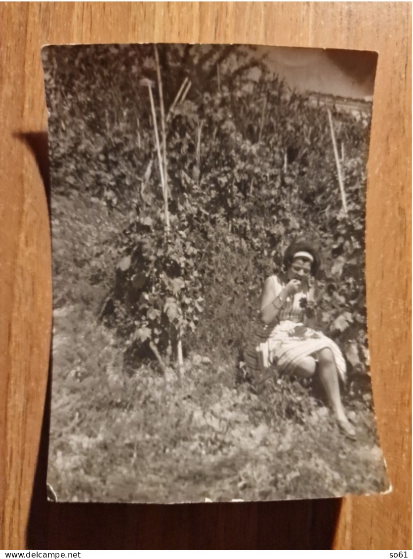 19426.   Fotografia D'epoca Donna Nella Vigna Che Mangia L 'uva1963 Badelice Benevento - 10x7,5 - Anonymous Persons