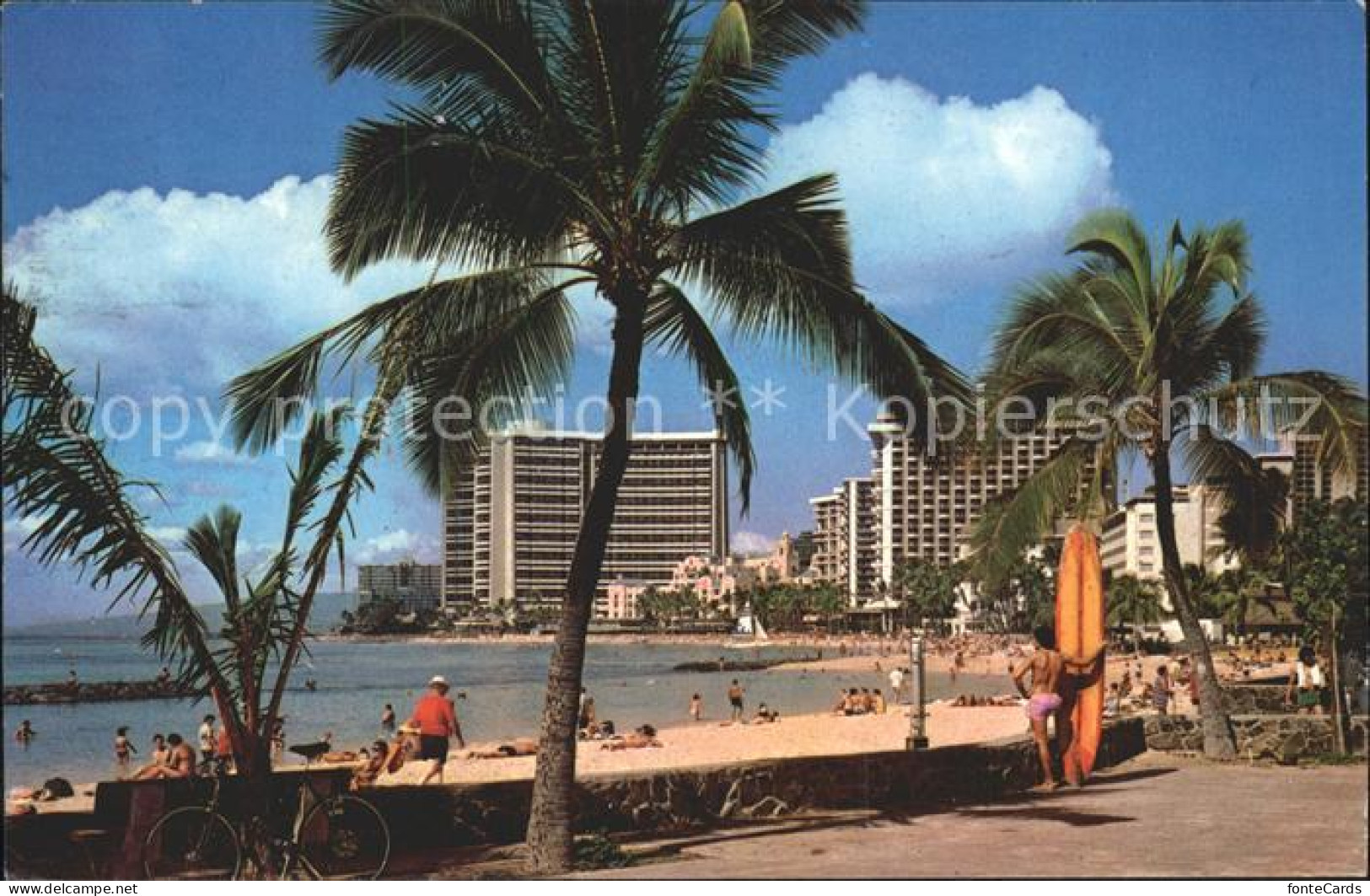 11693844 Waikiki Beach Palm Trees - Autres & Non Classés