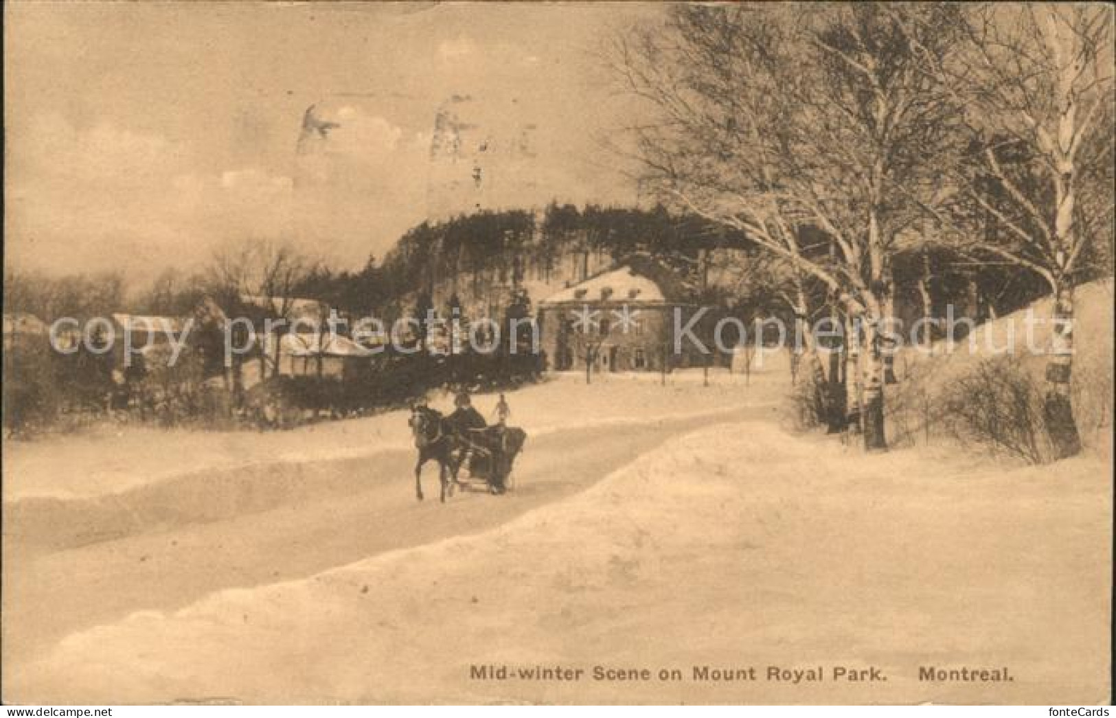 11693636 Montreal Quebec Pferdeschlitten Mount Royal Park  Montreal Quebec - Non Classificati