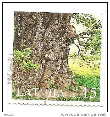 (!) LATVIA Big  OAK- 2005 Natural Monument Used (0) - Latvia