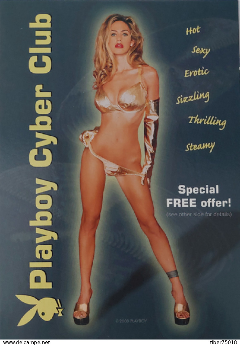 Carte Postale (Tower Records) Playboy Cyber Club (Pin-up) Hot Sexy Erotic Sizzling Thrilling Stearny - Pin-Ups