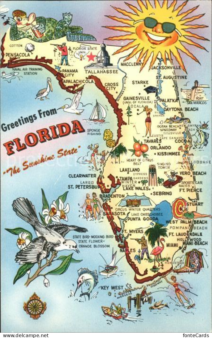 11693144 Florida_US-State Sushine State Landkarte - Other & Unclassified