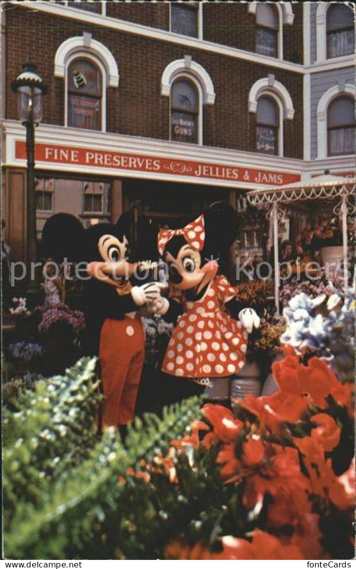 11692733 Disneyland_California The Flower Of His Eye Mickey Mouse Minnie  - Other & Unclassified