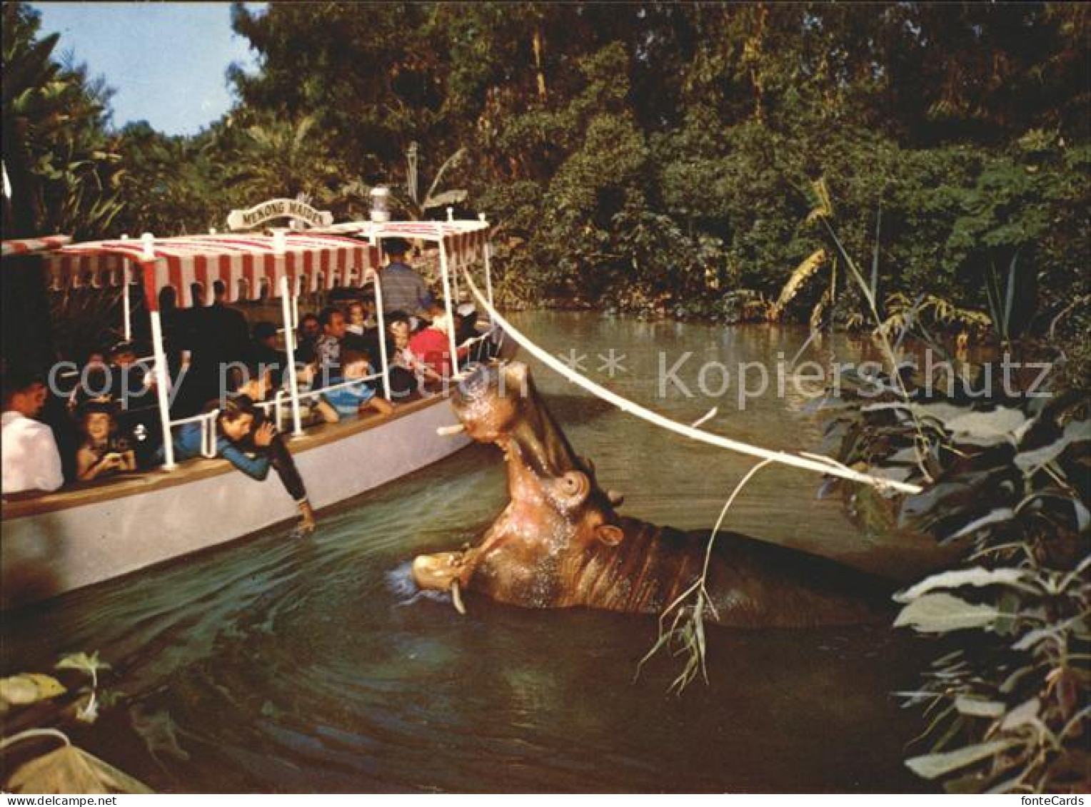 11692617 Disneyland_Orlando The Explorer Boat Hippo Rivers Of The World Nilpferd - Sonstige & Ohne Zuordnung