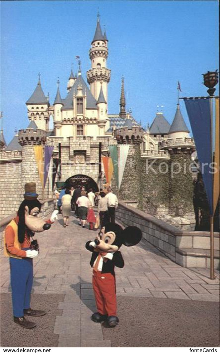 11692283 Disneyland_Orlando Mickey Goofy Sleeping Beauty's Castle Fotoapparat  - Other & Unclassified