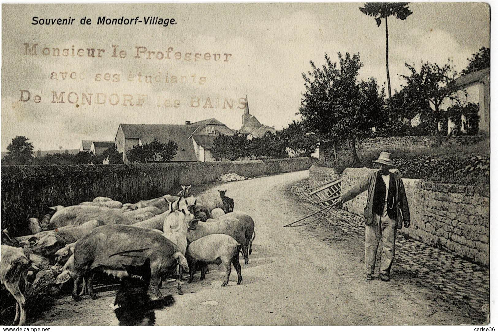 Souvenir De Mondorf-Village - Mondorf-les-Bains