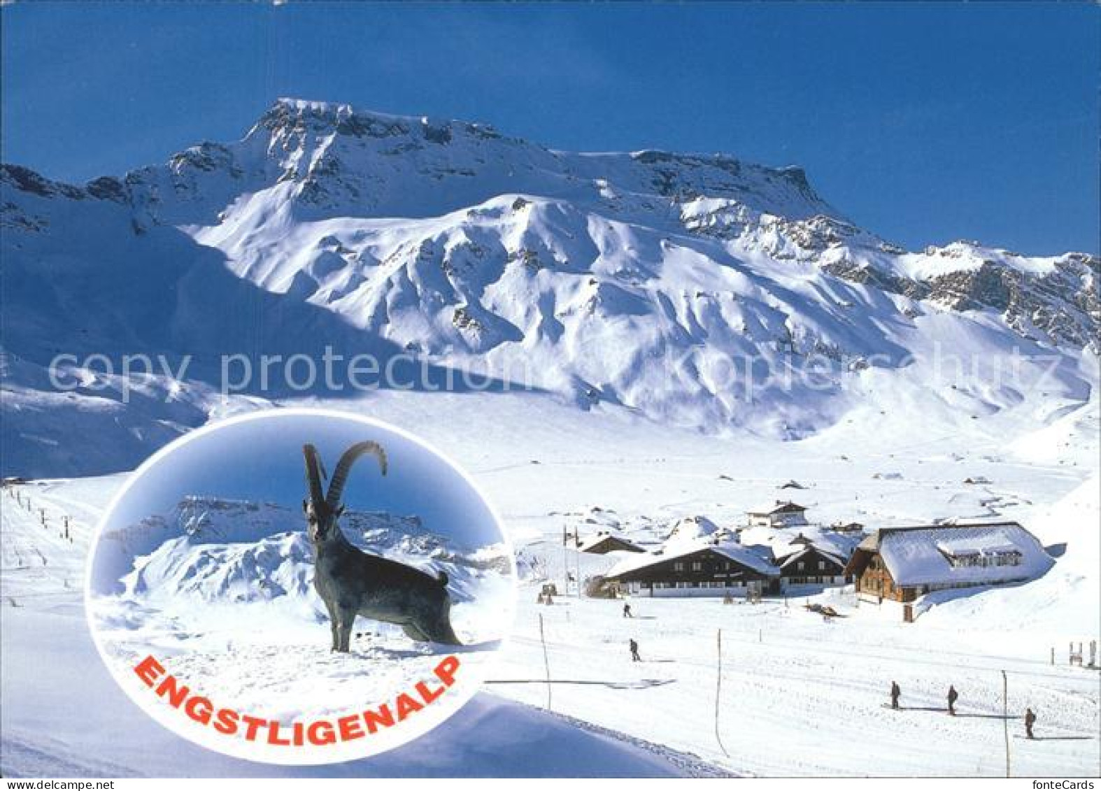 11692018 Adelboden Engstligenalp Mit Wildstrubel Steinbock Adelboden BE - Autres & Non Classés