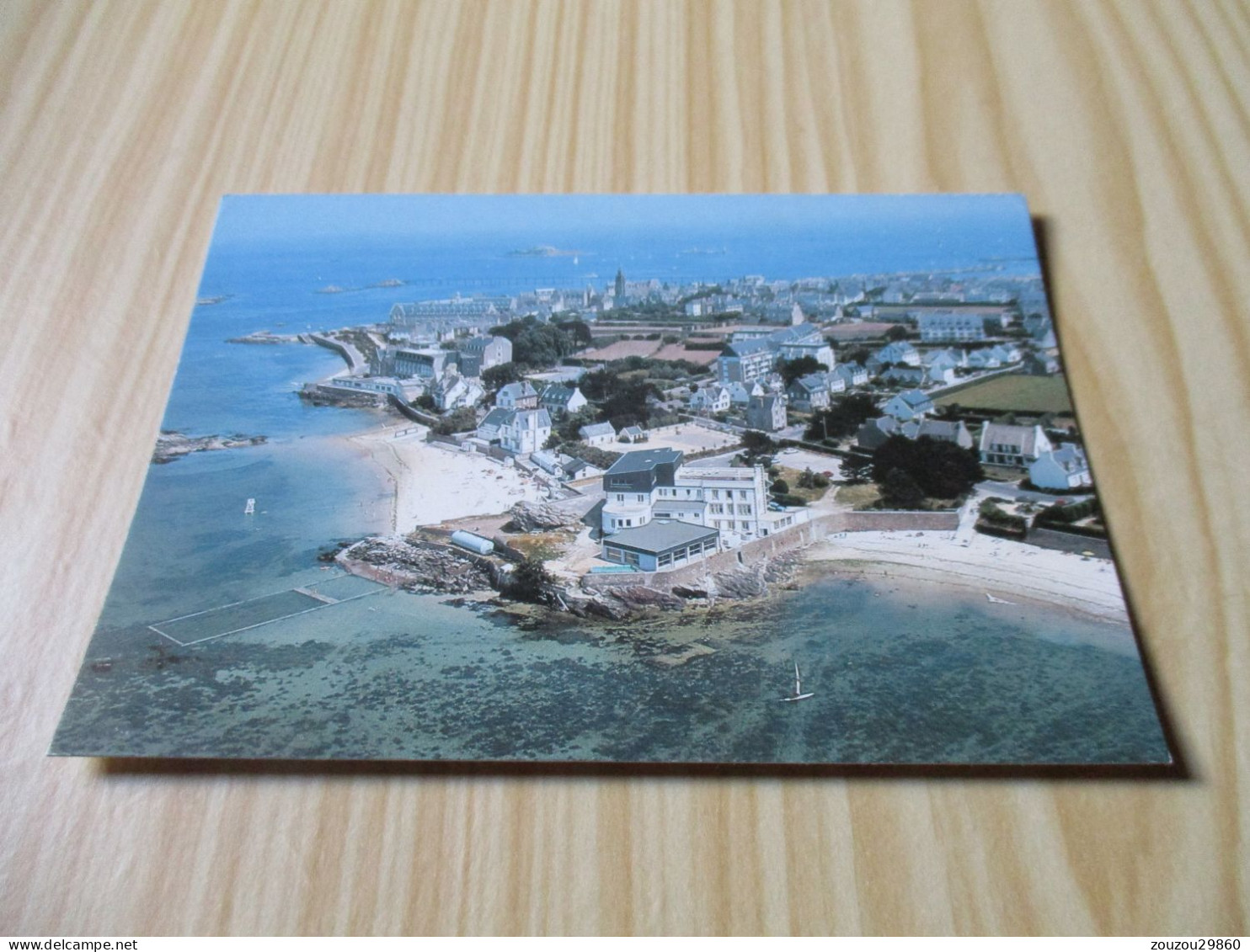 Roscoff (29).Vue Générale De La Pointe, Des Plages Et De L'Institut Marin. - Roscoff