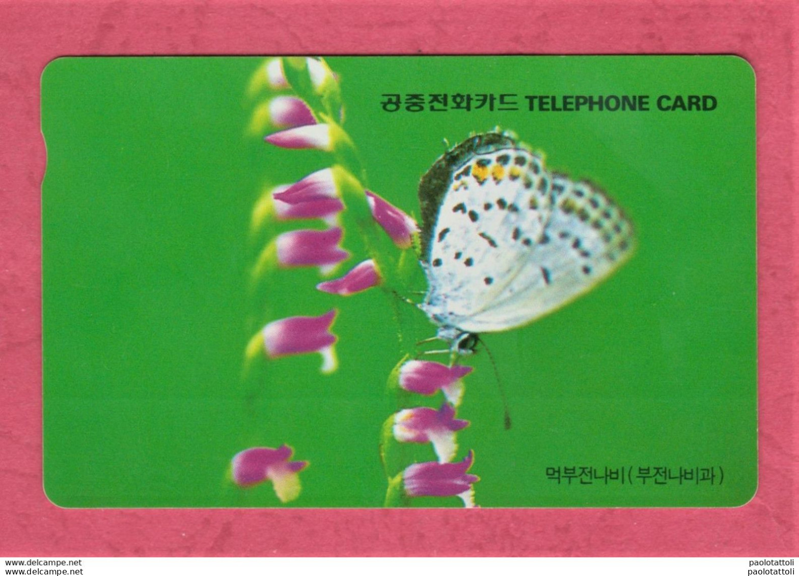 Corea Del Sud, South Korea- Used Phone Card Magnetic Band- Korea Telecom. Butterfly. - Corée Du Sud