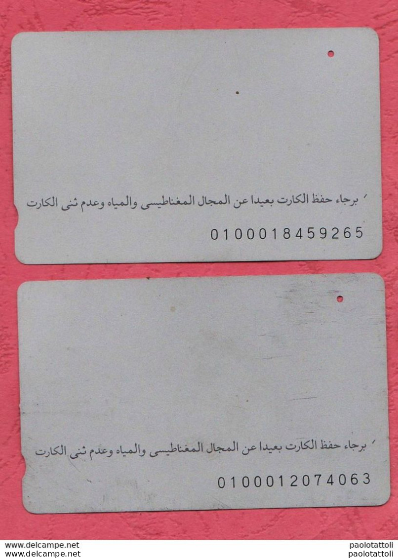 Egypt-Telecom Egypt- Egyptian Landscape And Sites- Pre Paid Phone Card Used . Lot Of Two Cards. - Egypte