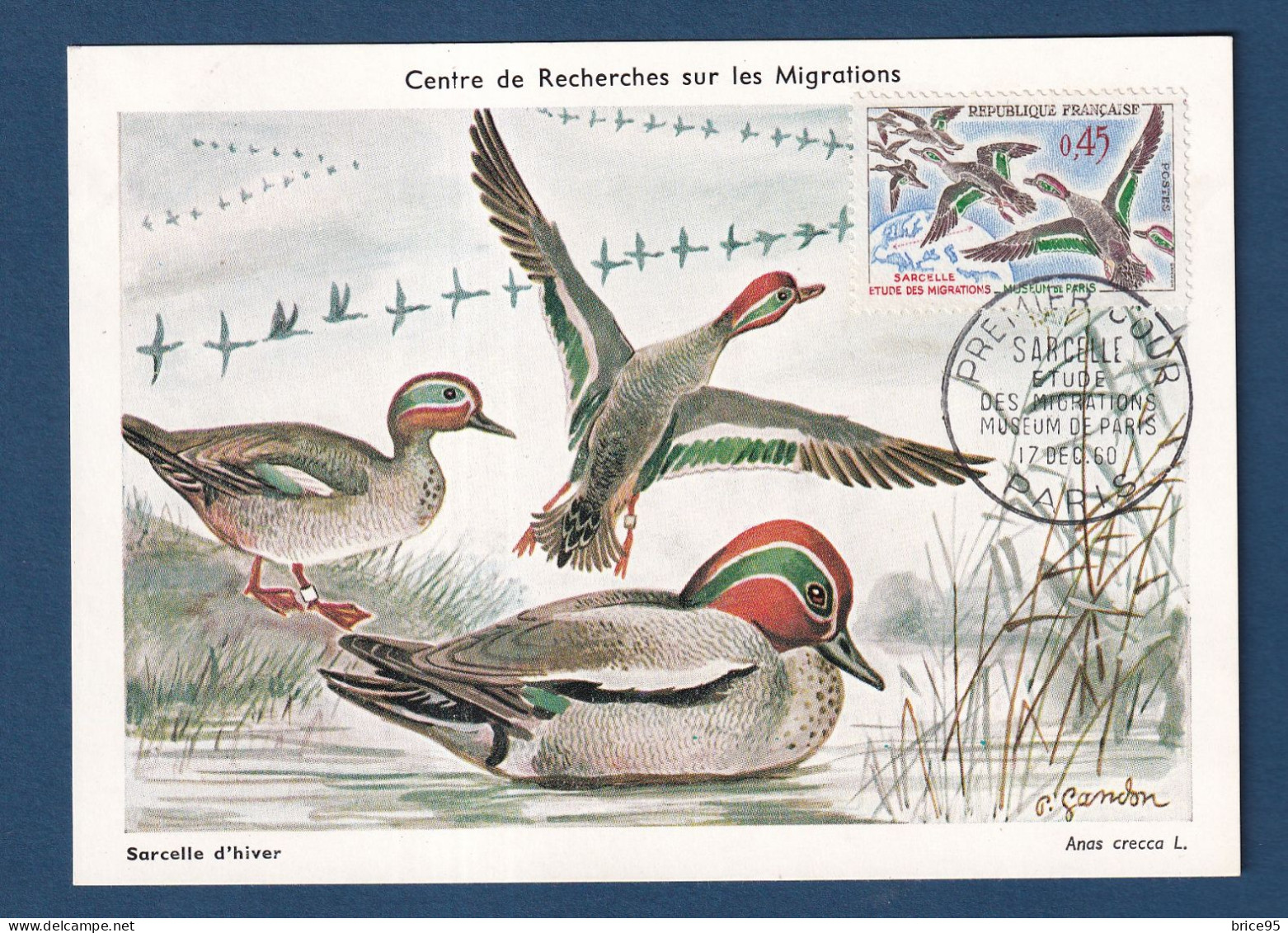 France - FDC - Premier Jour - Carte Maximum - Sarcelle - Etude Des Migrations Museum De Paris - 1960 - 1960-1969