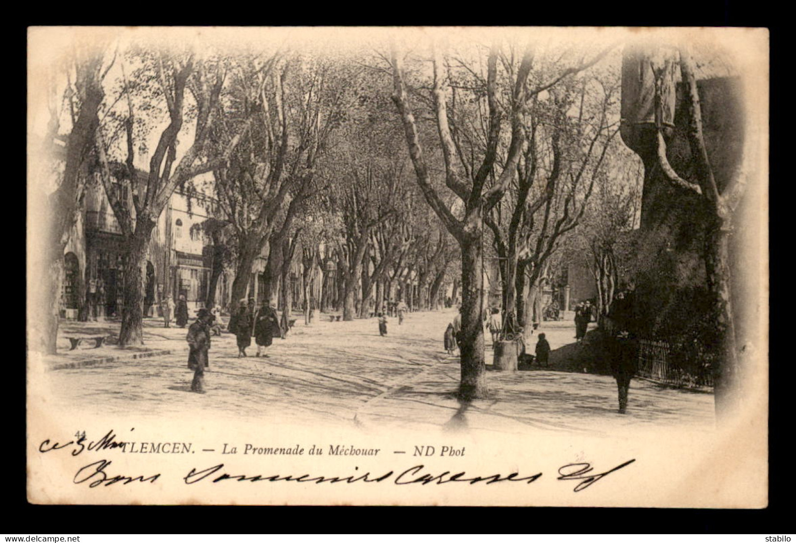 ALGERIE - TLEMCEN - LA PROMENADE DU MECHOUAR - Tlemcen