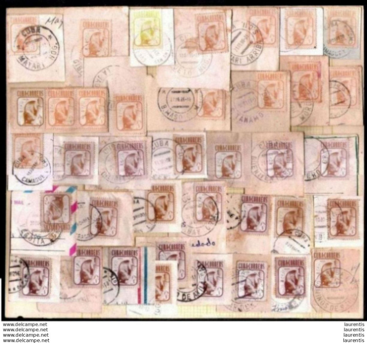 575  1981 Definitives Issue - Diff Shades Of The 5c Stamp - See Description - Cb - 3,75 - Altri & Non Classificati