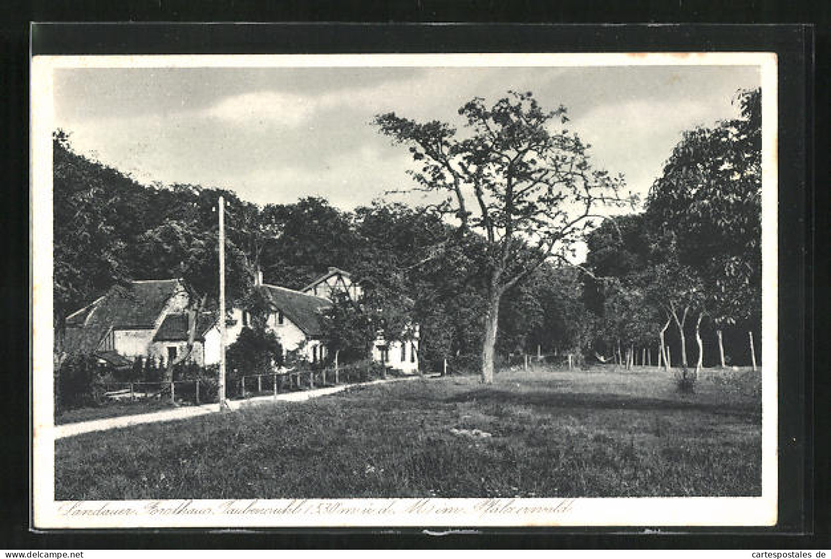 AK Landau, Gasthaus Forsthaus Taubensuhl  - Hunting