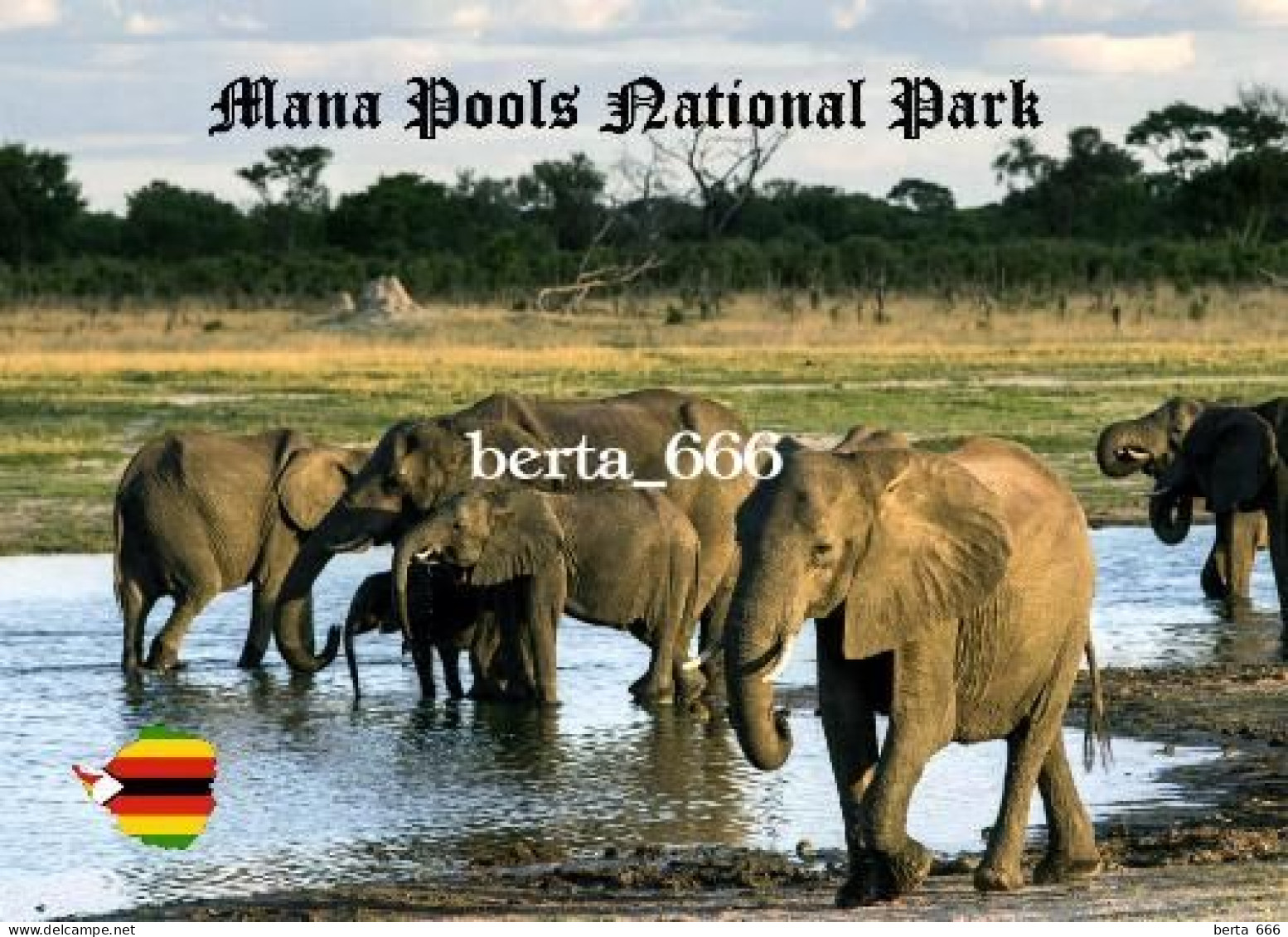 Zimbabwe Mana Pools National Park UNESCO New Postcard - Simbabwe