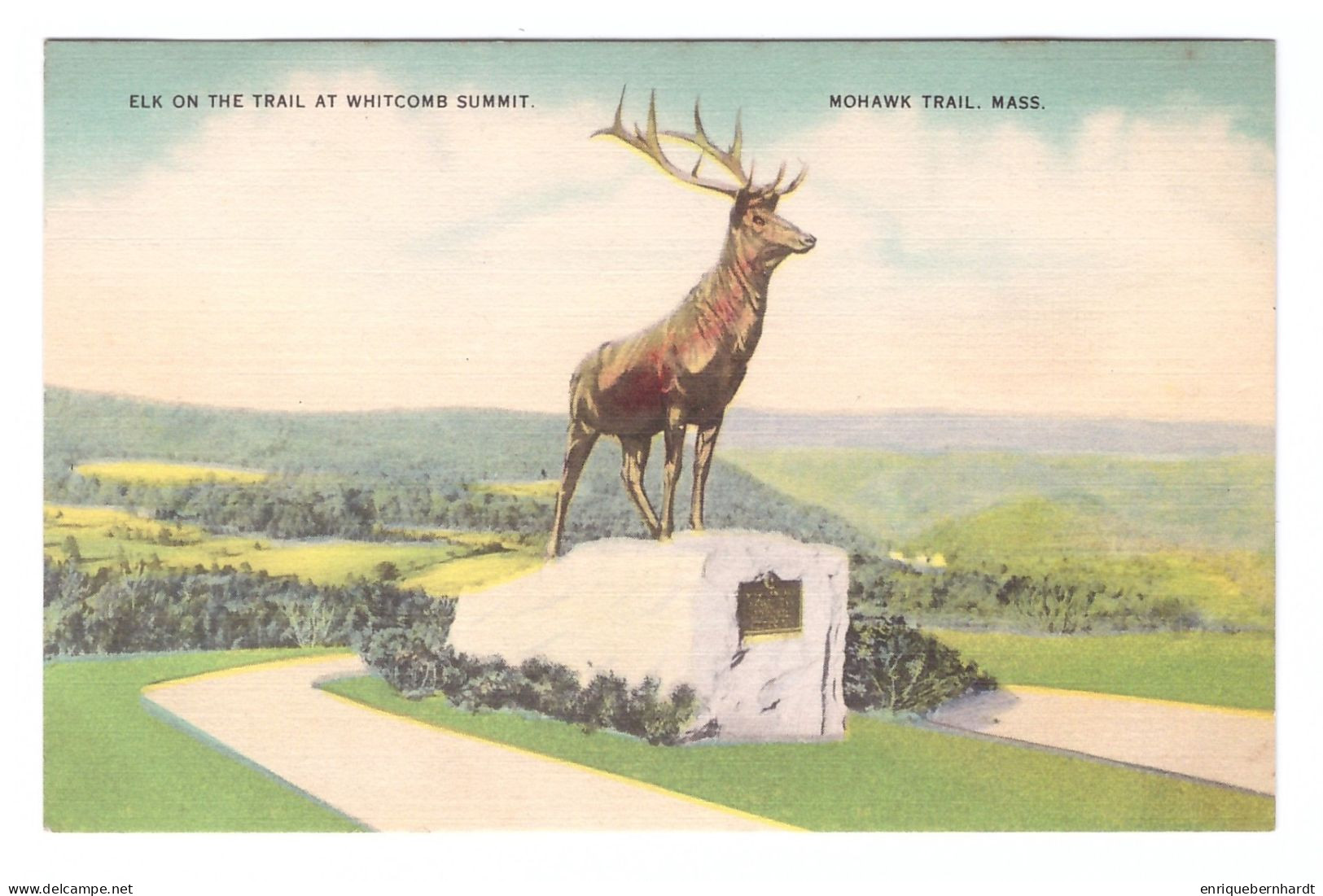 UNITED STATES // MOHAWK TRAIL // ELK ON THE TRAIL AT WHITCOMB SUMMIT - Sonstige & Ohne Zuordnung