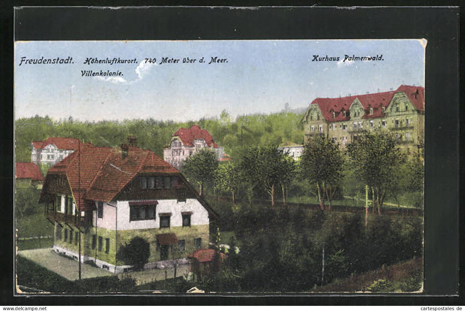 AK Freudenstadt, Villenkolonie Mit Kurhaus Palmenwald  - Freudenstadt