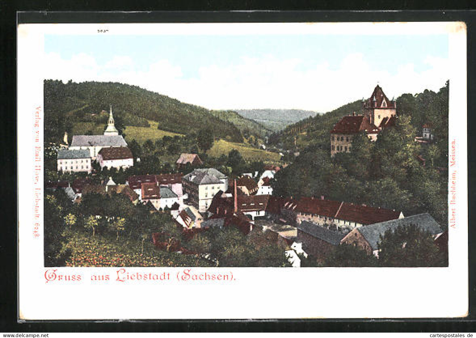 AK Liebstadt, Ortspartie Mit Fernblick  - Liebstadt