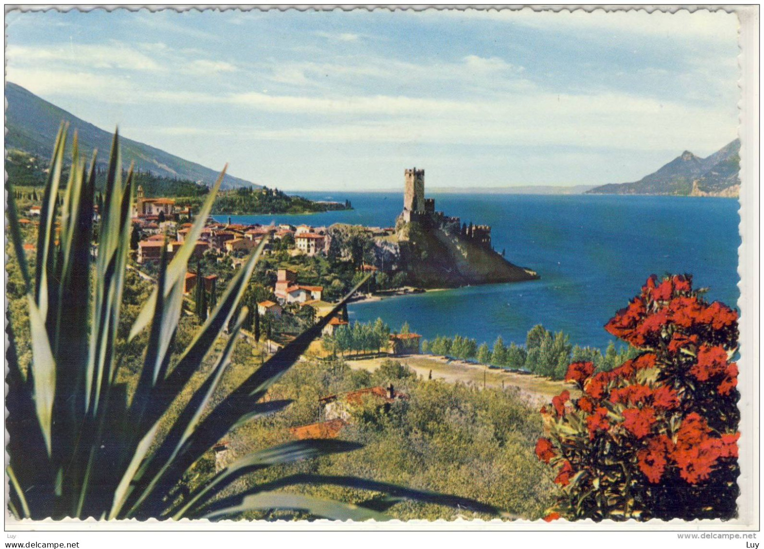 MALCESINE - Lago Di Garda, Panorama, Viaggiata - Otros & Sin Clasificación